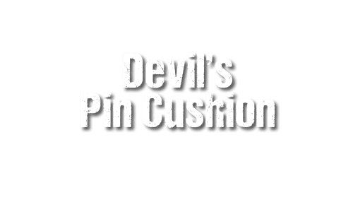 Devil’s Pin Cushion